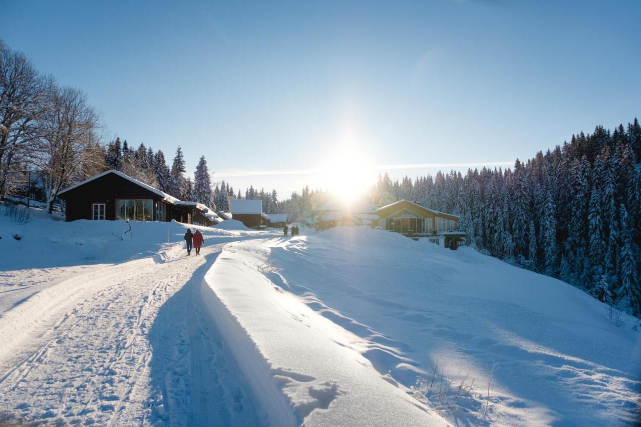 Kleivstua Hotel Near Krokskogen Sundvollen Ngoại thất bức ảnh